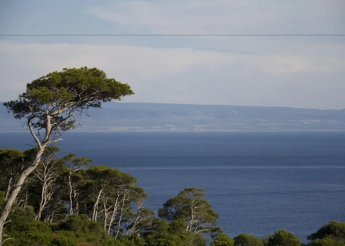 Hotel Eden San Domino